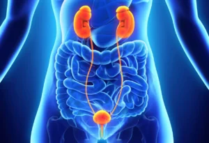 Read more about the article What Are the Top Signs of Chronic Kidney Disease?