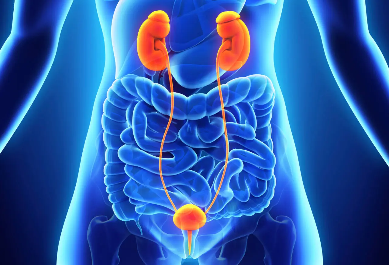 You are currently viewing What Are the Top Signs of Chronic Kidney Disease?