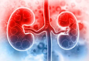 Read more about the article How Diet and Lifestyle Can Help You Fight Chronic Kidney Disease?